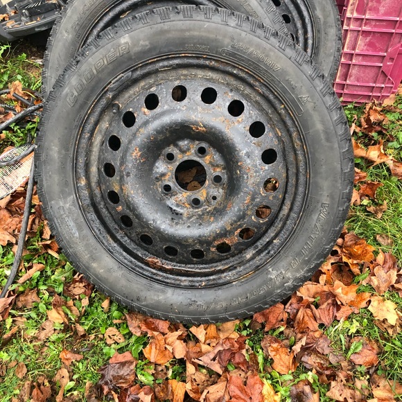 Tries - Picture 2 of 2